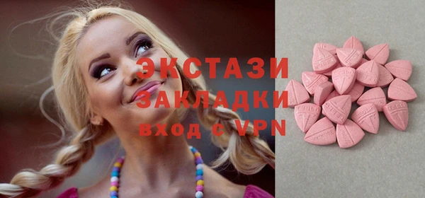 хмурый Алексин