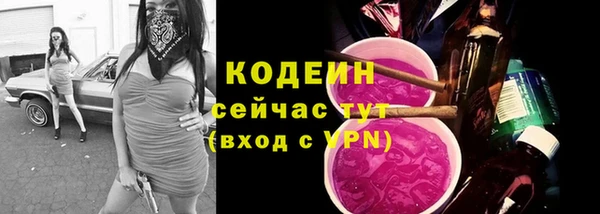 прущие крисы Абаза