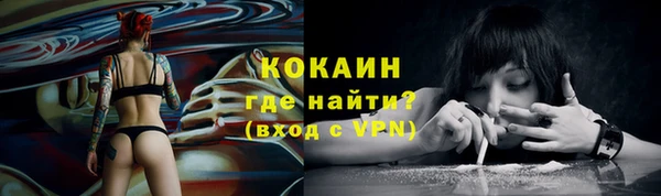прущие крисы Абаза