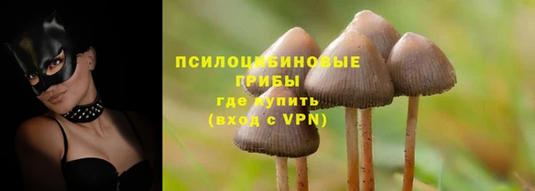 бутират Алзамай