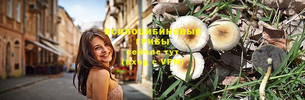 трава Абинск