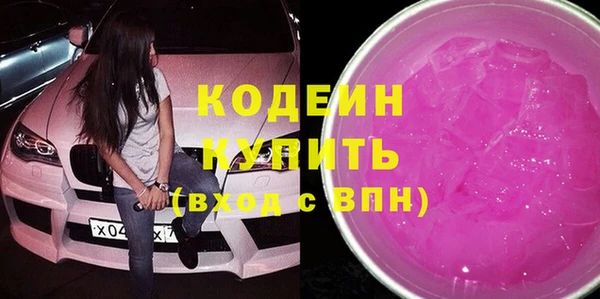 хмурый Алексин