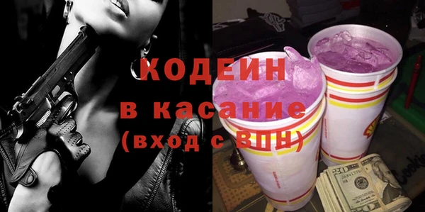 хмурый Алексин